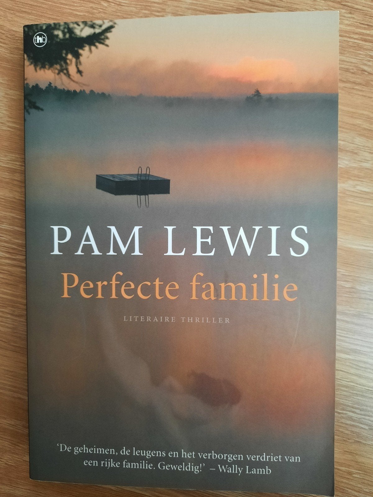 P. Lewis - Perfecte familie, Ophalen of Verzenden, Zo goed als nieuw, Pam Lewis