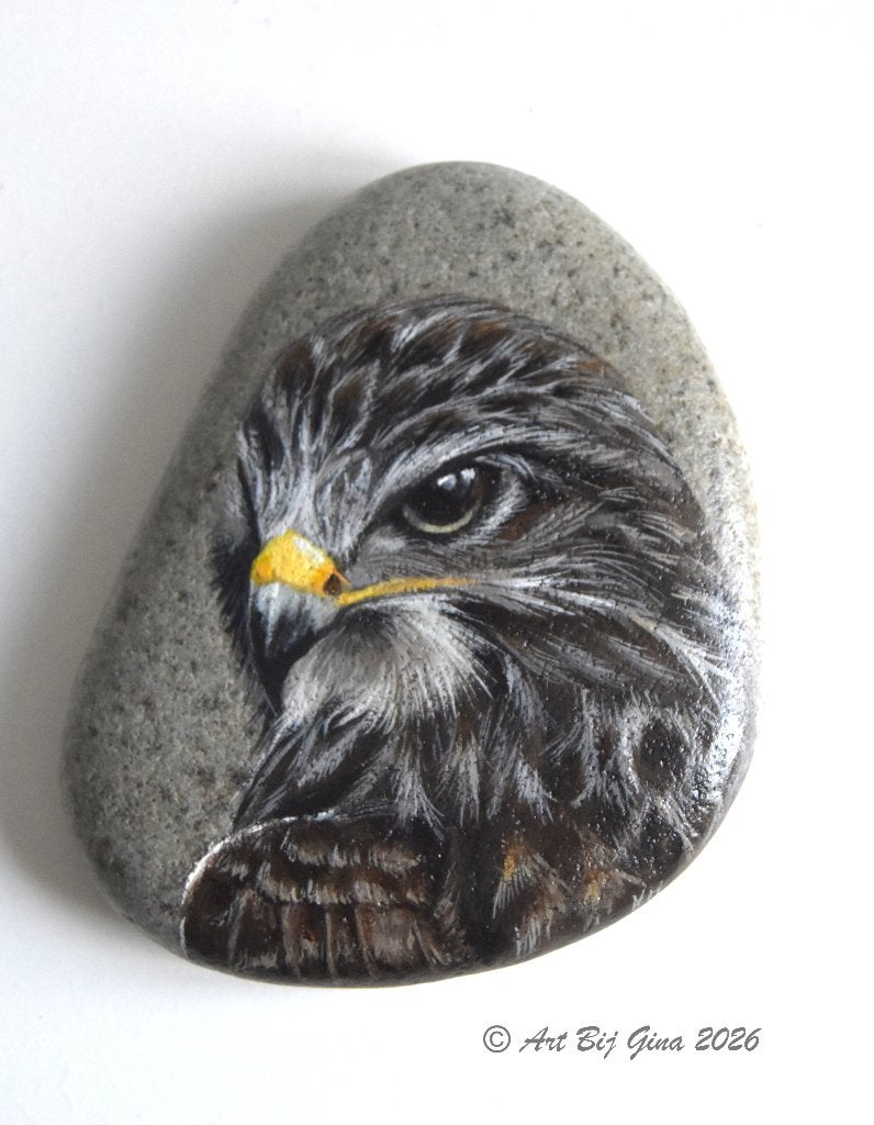 Portret van een prachtige buizerd, hand geschilderd op steen, Ophalen of Verzenden