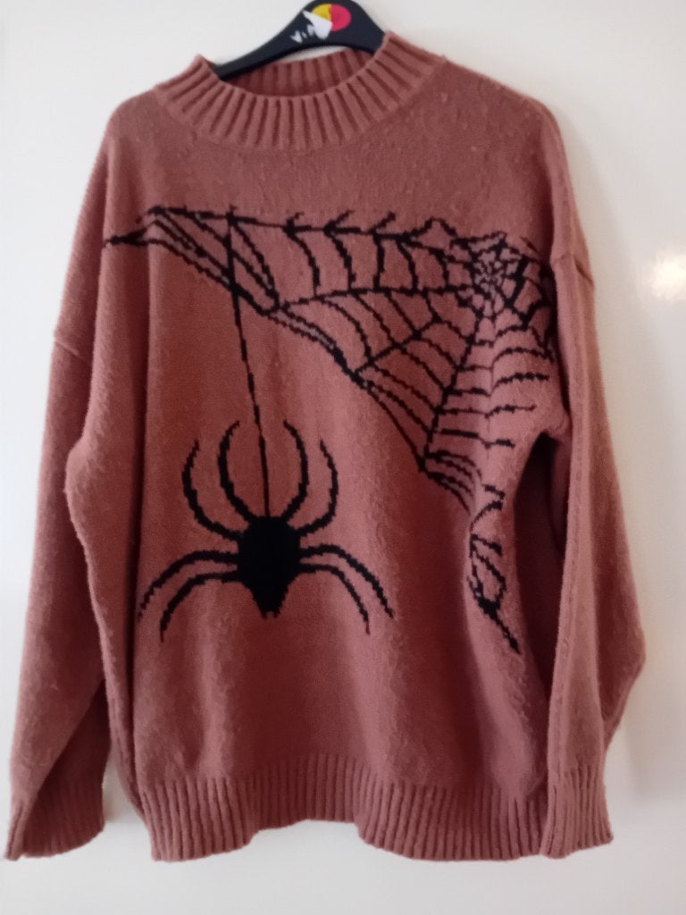 trui met spinneweb met spin er op, Kleding | Dames, Truien en Vesten, Maat 38/40 (M), Overige kleuren, Ophalen of Verzenden, Zo goed als nieuw