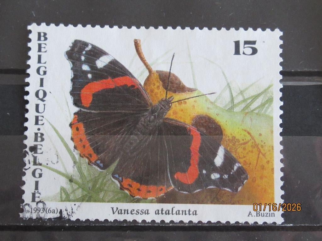 POSTZEGEL  BELGIE 1993 - VLINDER   =850=, Ophalen of Verzenden, Gestempeld