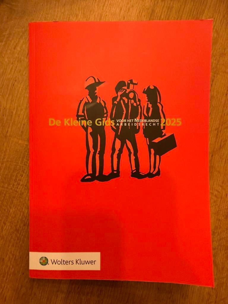De kleine gids voor het nederlandse arbeidsrecht 2025, Ophalen of Verzenden, Alpha, Zo goed als nieuw, HBO