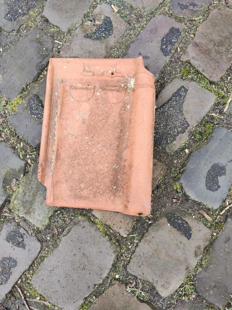 Dakpannen pottelberg, Doe-het-zelf en Verbouw, Dakpannen en Dakbedekking, Ophalen of Verzenden, Steen of Klei, 15 m² of meer, Dakpannen