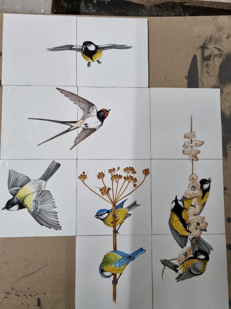 Echte Friese witjes De MOOISTE en BETAALBAAR!, Ophalen, Minder dan 20 cm, 10 m² of meer, Wandtegels