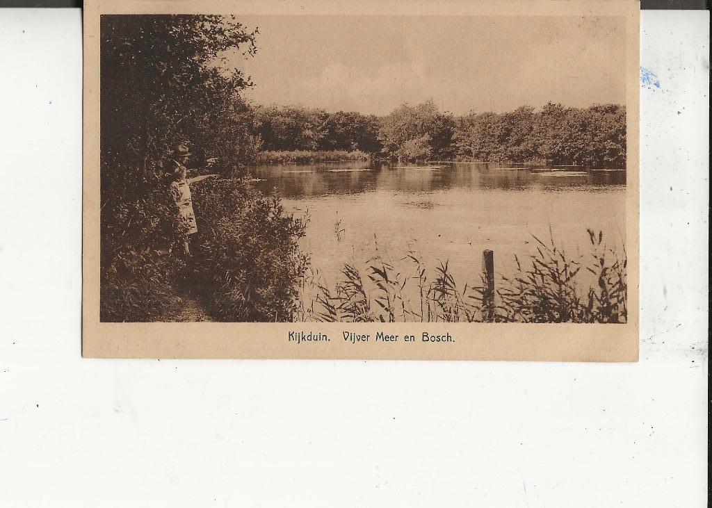 Kijkduin Vijver Meer en Bosch naar Poeldijk 28-8-1931, Verzenden, 1920 tot 1940, Gelopen, Zuid-Holland