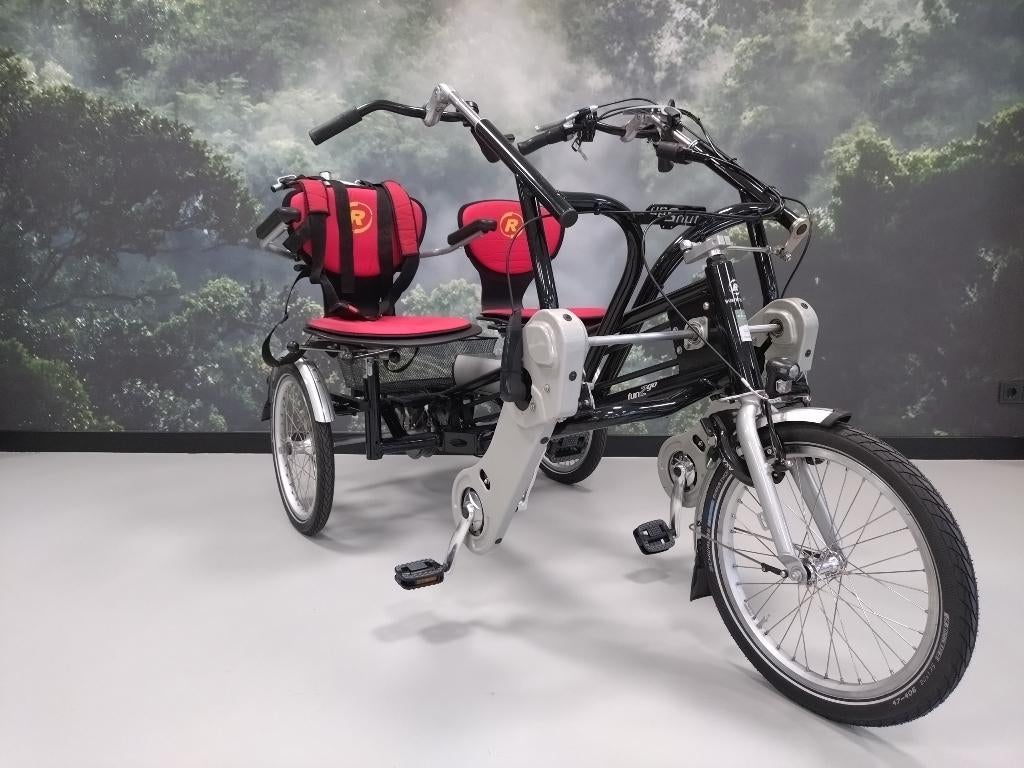 Van Raam fun 2 go duofiets, Fietsen en Brommers, Fietsen | Driewielfietsen, Ophalen of Verzenden, Gebruikt