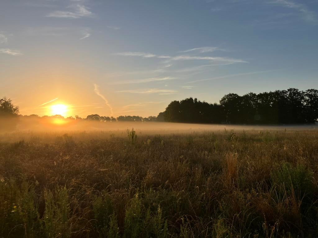 Met spoed weiland te huur gezocht Arnhem zuid e.o., Dieren en Toebehoren, Stalling en Weidegang, Weidegang