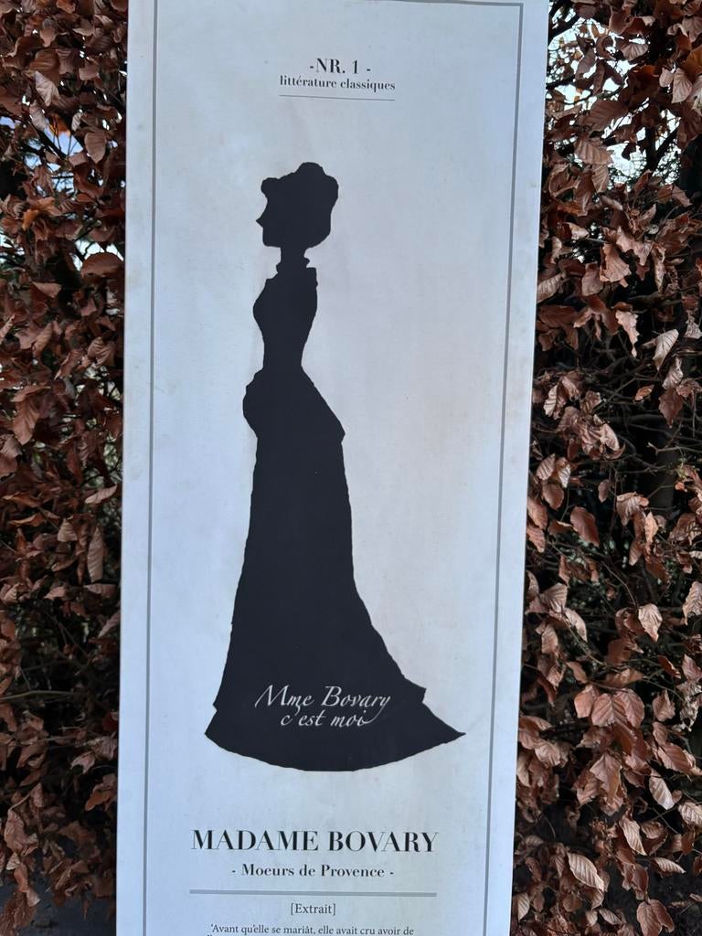 Wanddecoratie - schilderij Madame Bovary, Antiek en Kunst, Kunst | Schilderijen | Klassiek, Ophalen