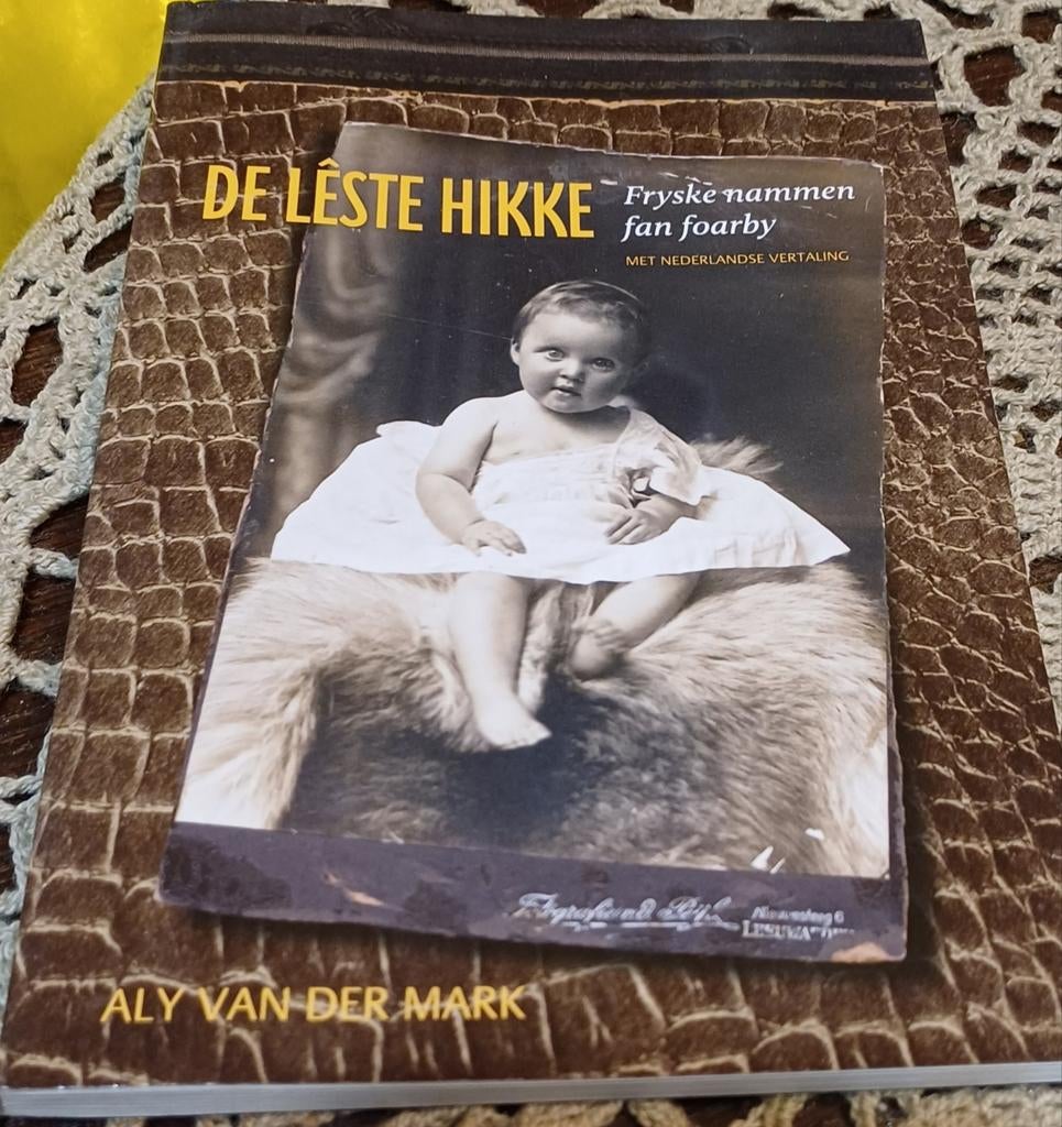 DE LESTE HIKKE - Fryske nammen fan foarby, Eén persoon, Overige soorten