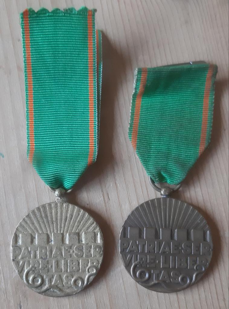 Nederlandse Onderscheidingen - Trouwe Dienst Medailles, Ophalen of Verzenden, Overige soorten, Nederland, Lintje, Medaille of Wings