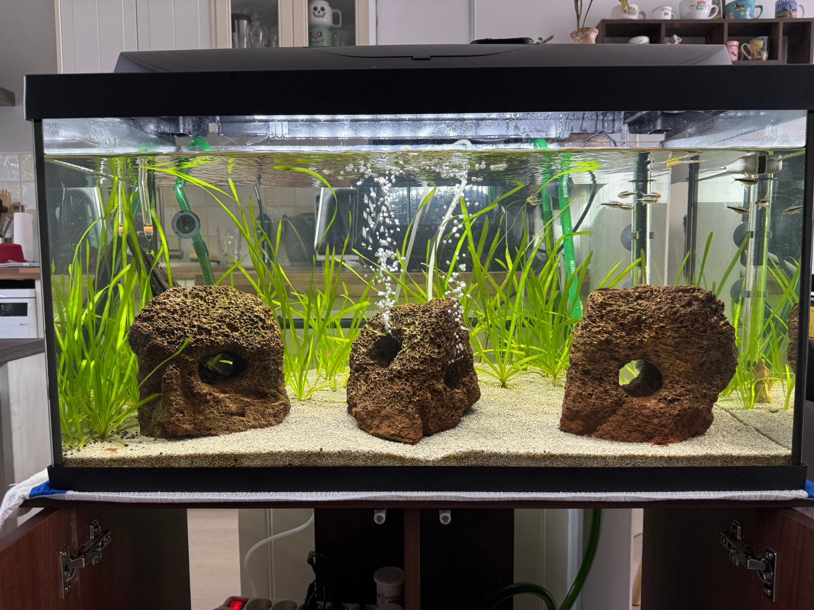 Aquarium ~110L met meubel, Dieren en Toebehoren, Vissen | Aquaria en Toebehoren, Ophalen, Overige merken, Inclusief vissen, Gevuld zoetwateraquarium
