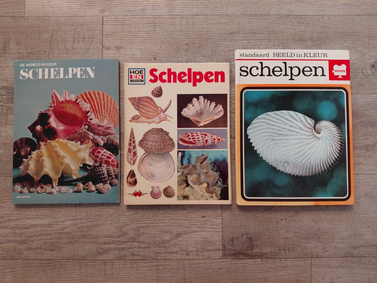 3 mooie en nette informatieve  boeken over schelpen., Ophalen of Verzenden, Zo goed als nieuw, Natuur algemeen