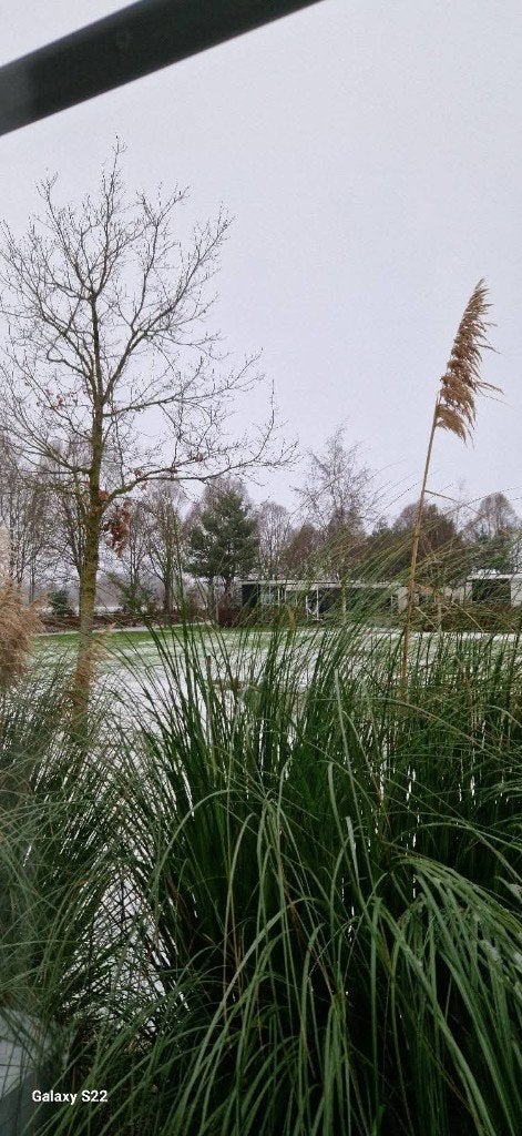 Chalet te huur, Wasmachine, Noord-Brabant, 2 slaapkamers, Recreatiepark