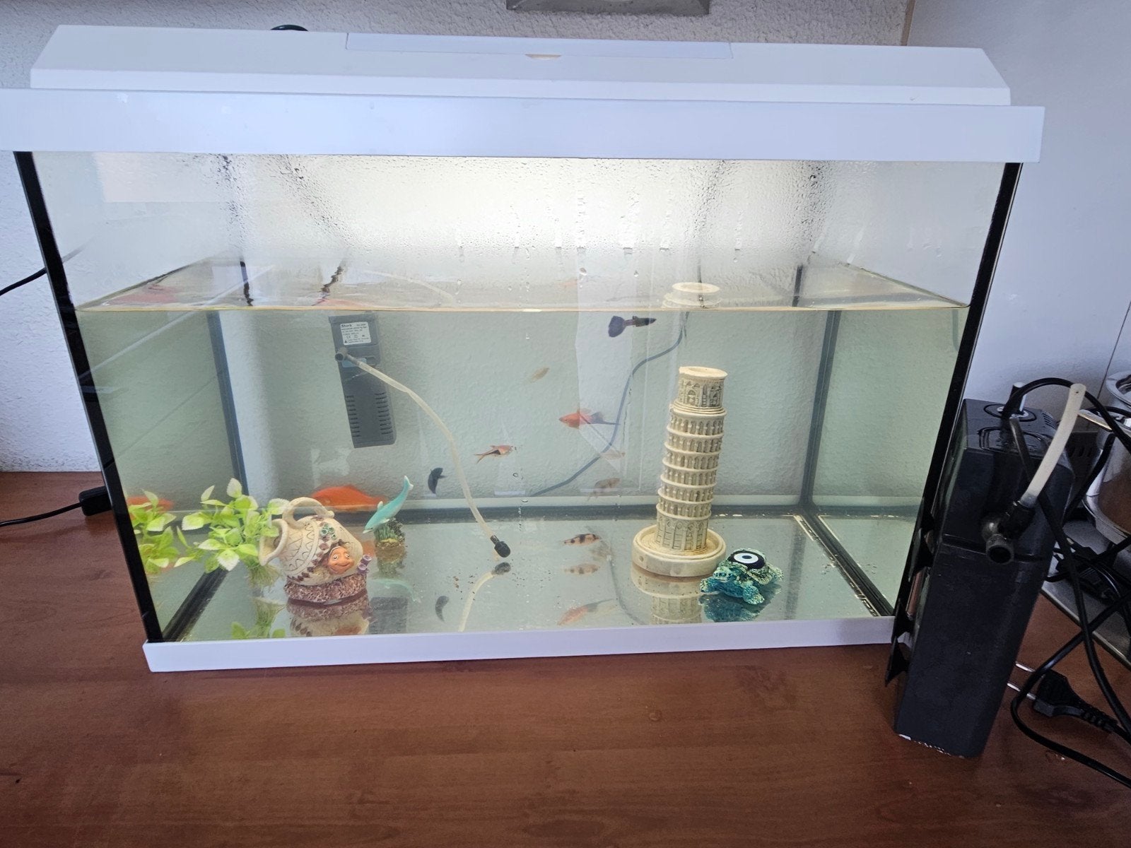 aquarium, Ophalen of Verzenden