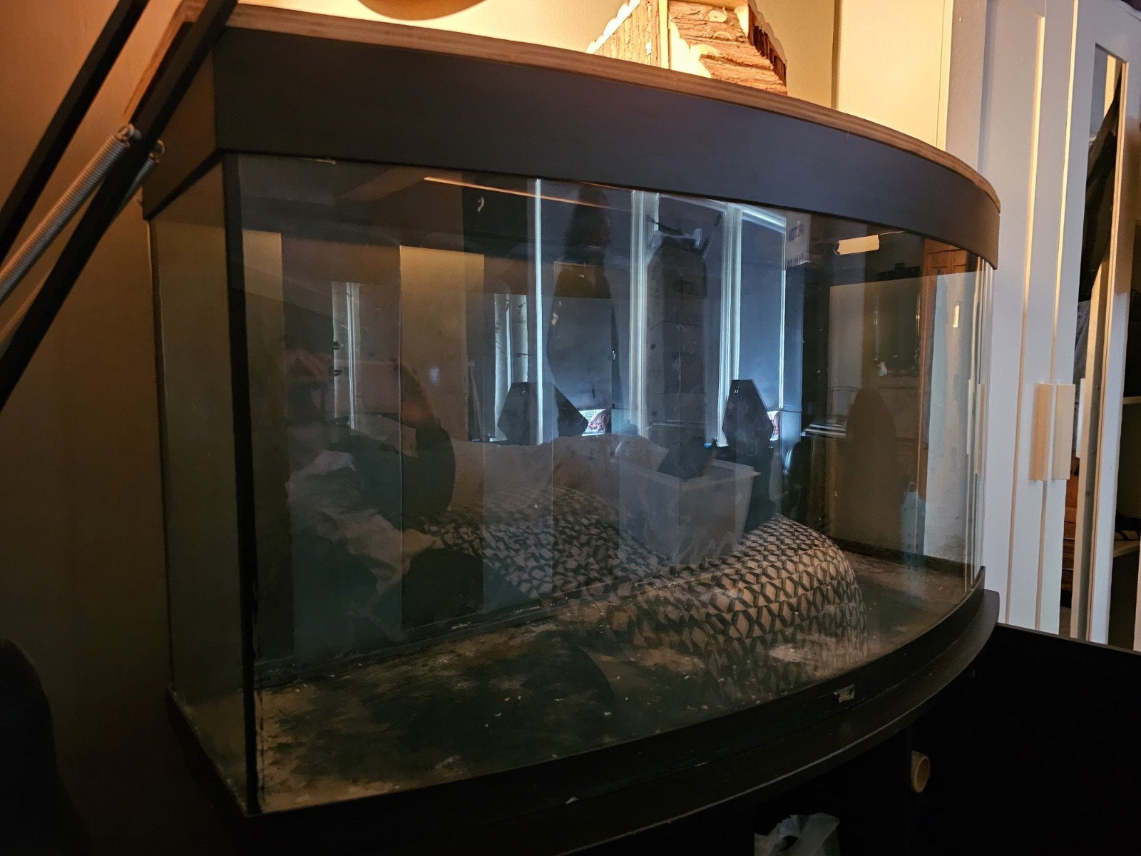 (knaagdier) terarium groot + bijhorende kast, Dieren en Toebehoren, Ophalen, Gebruikt