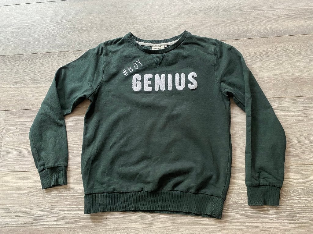 NAME IT sweater maat 146-152, Kinderen en Baby's, Kinderkleding | Maat 146, Trui of Vest, Ophalen of Verzenden, Zo goed als nieuw