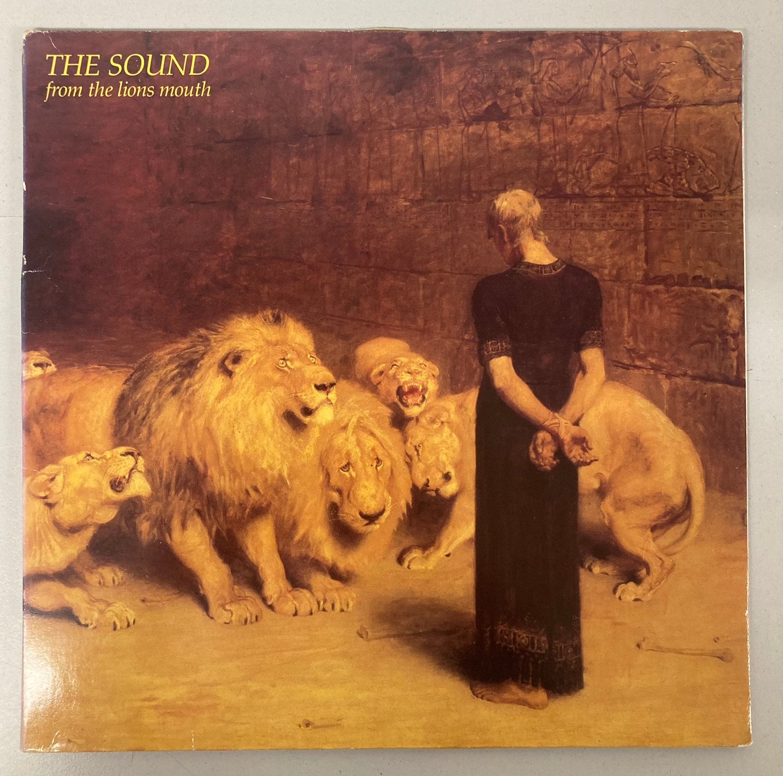 The Sound - From The Lions Mouth - LP - 1981, Ophalen of Verzenden, Gebruikt, 12 inch, Poprock