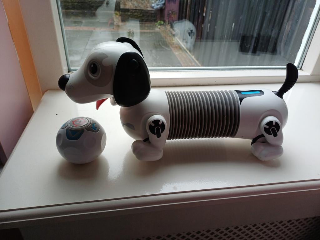 Robot hond, Ophalen of Verzenden, Nieuw