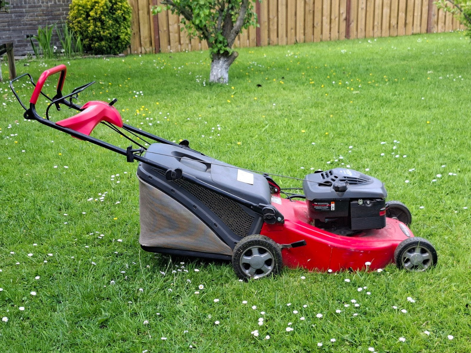 Grasmaaier benzine, Tuin en Terras, Ophalen, Cirkelmaaier, Gebruikt, Opvangbak