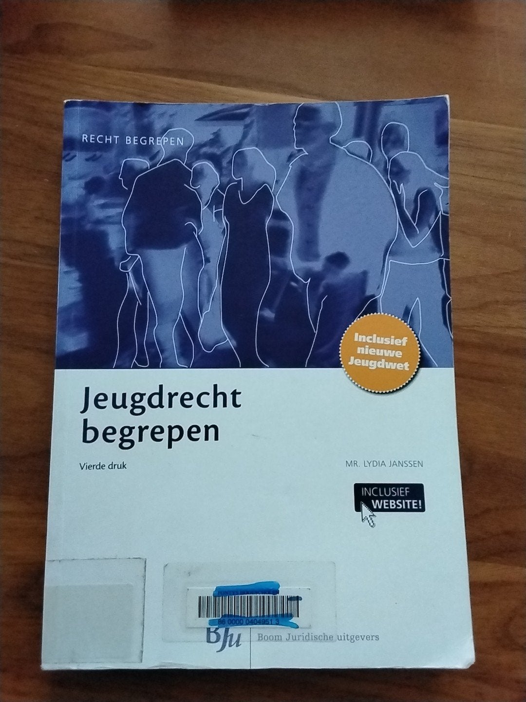 Lydia Janssen - Jeugdrecht begrepen, Sociale wetenschap, Ophalen of Verzenden, Zo goed als nieuw, Lydia Janssen
