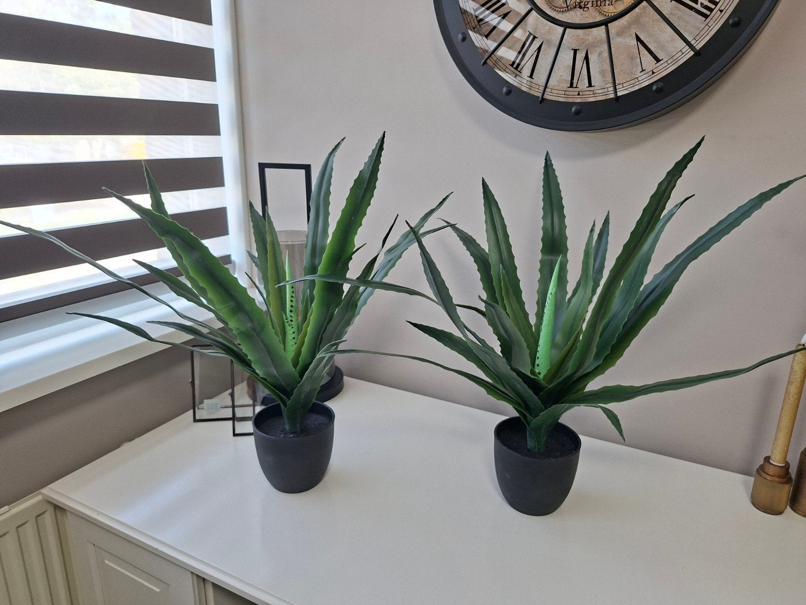 Kunstplant CELIUS H65cm aloë vera - JYSK, Groen, Met pot of vaas, Kunstplant, Ophalen of Verzenden