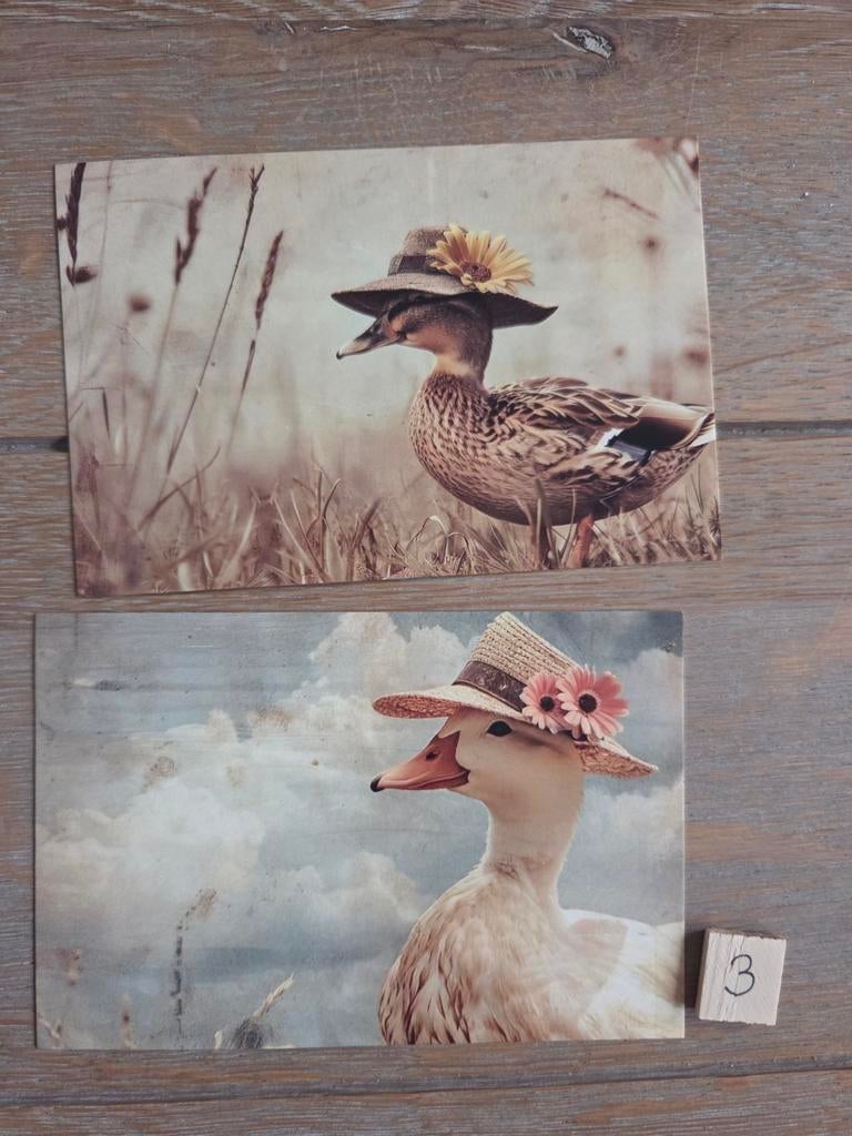 EENDJES 3, Ophalen, Paard