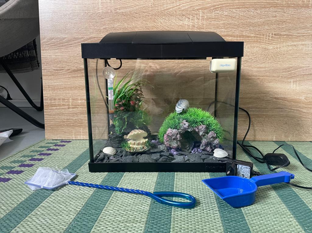Aquarium (super fish) + interieur + schoonmaak spullen, Dieren en Toebehoren, Vissen | Aquaria en Toebehoren, Ophalen of Verzenden