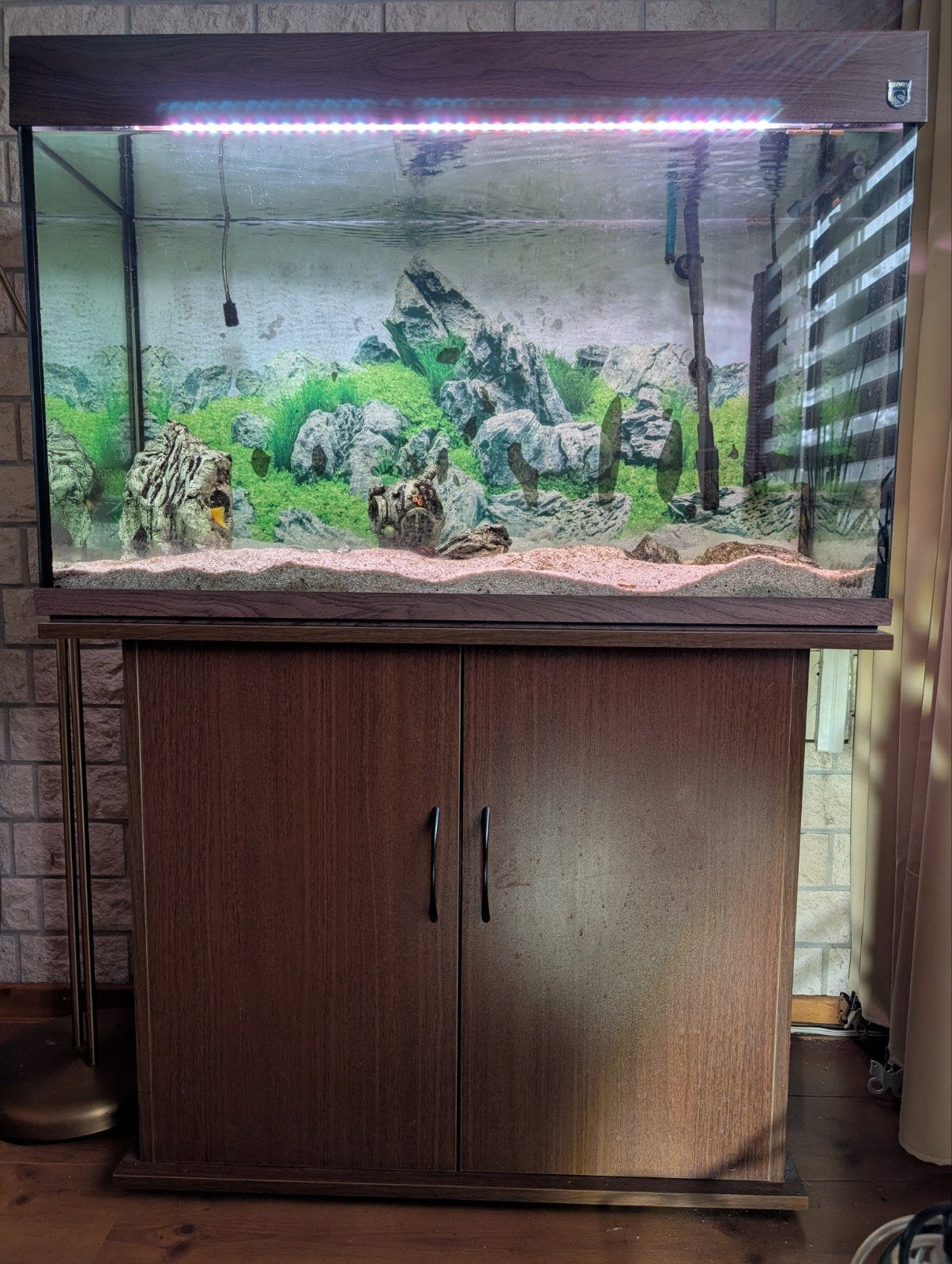 Aquarium met pomp etc 100 euro, Ophalen, Zo goed als nieuw, Leeg aquarium