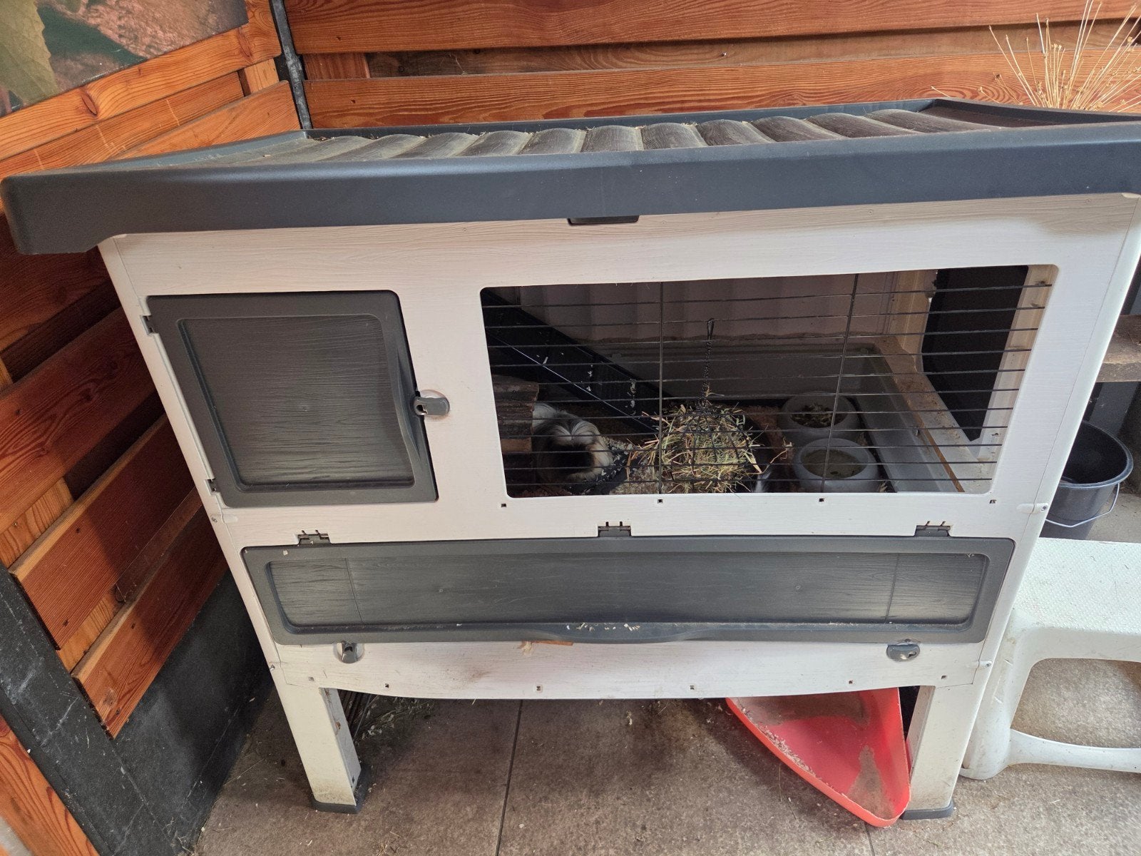 Cavia-/konijnenhok, Dieren en Toebehoren, Knaagdieren en Konijnen | Hokken en Kooien, Gebruikt, Hok, 75 tot 110 cm, Cavia