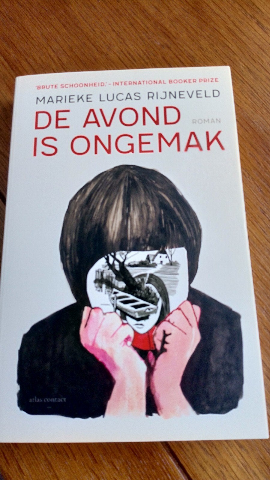 2 boeken De Avond Ongemak en Mrs Degas NIEUW, Boeken, Ophalen of Verzenden, Nieuw