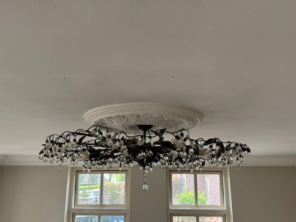 Prachtige plafondlamp met kristallen en bladeren design, Ophalen, Zo goed als nieuw, Metaal