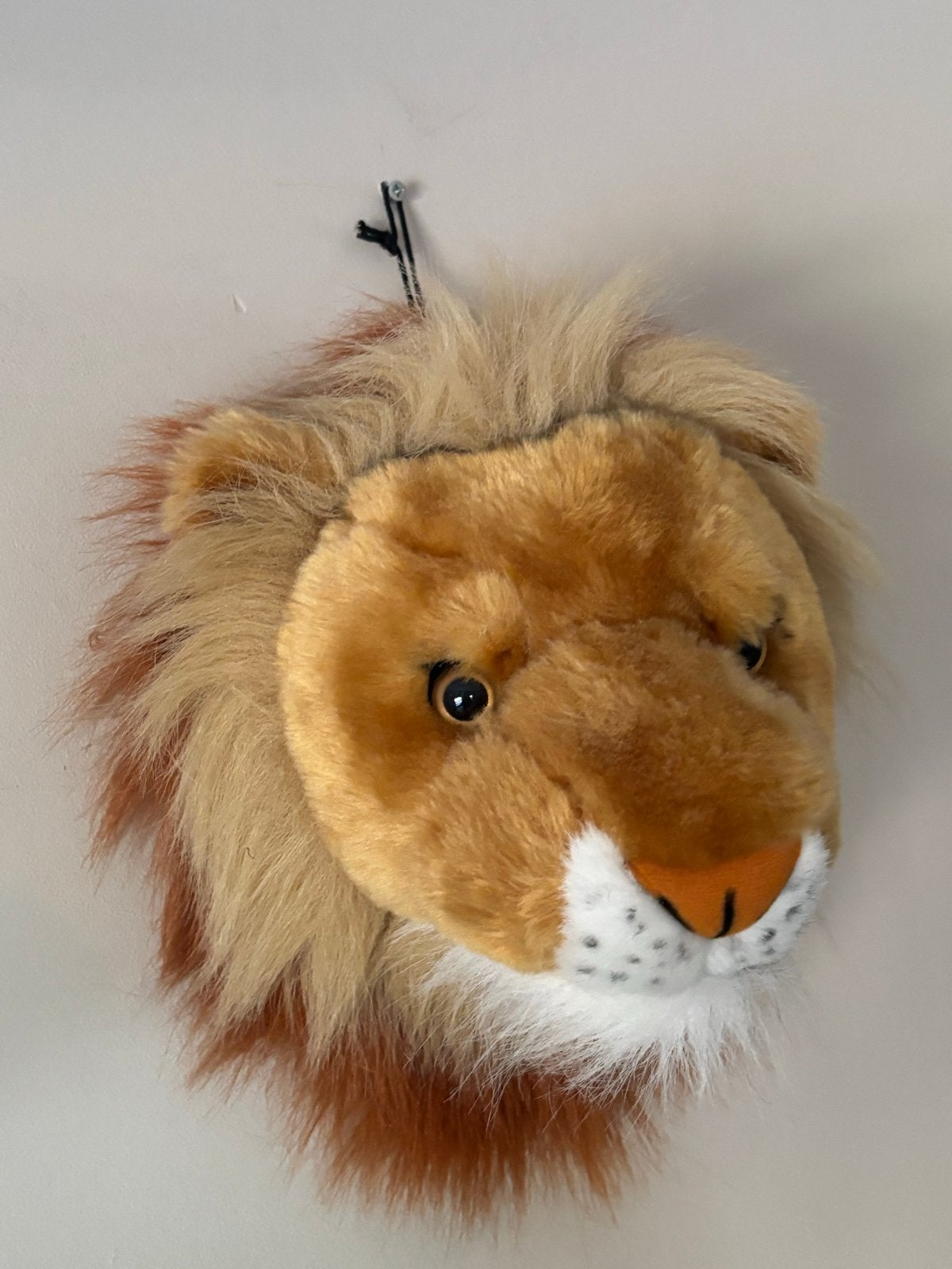 Wanddecoratie kinderkamer leeuw, Ophalen, Overige merken, Zo goed als nieuw, Wanddecoratie