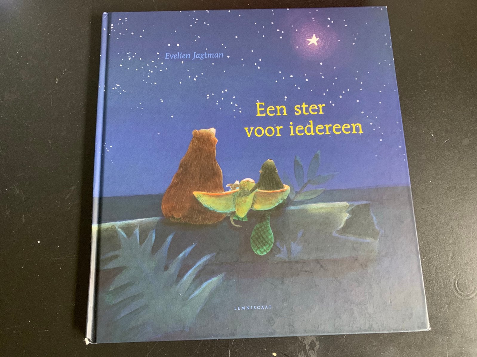 Een ster voor iedereen, Evelien Jagtman, Ophalen of Verzenden, Zo goed als nieuw, 3 tot 4 jaar