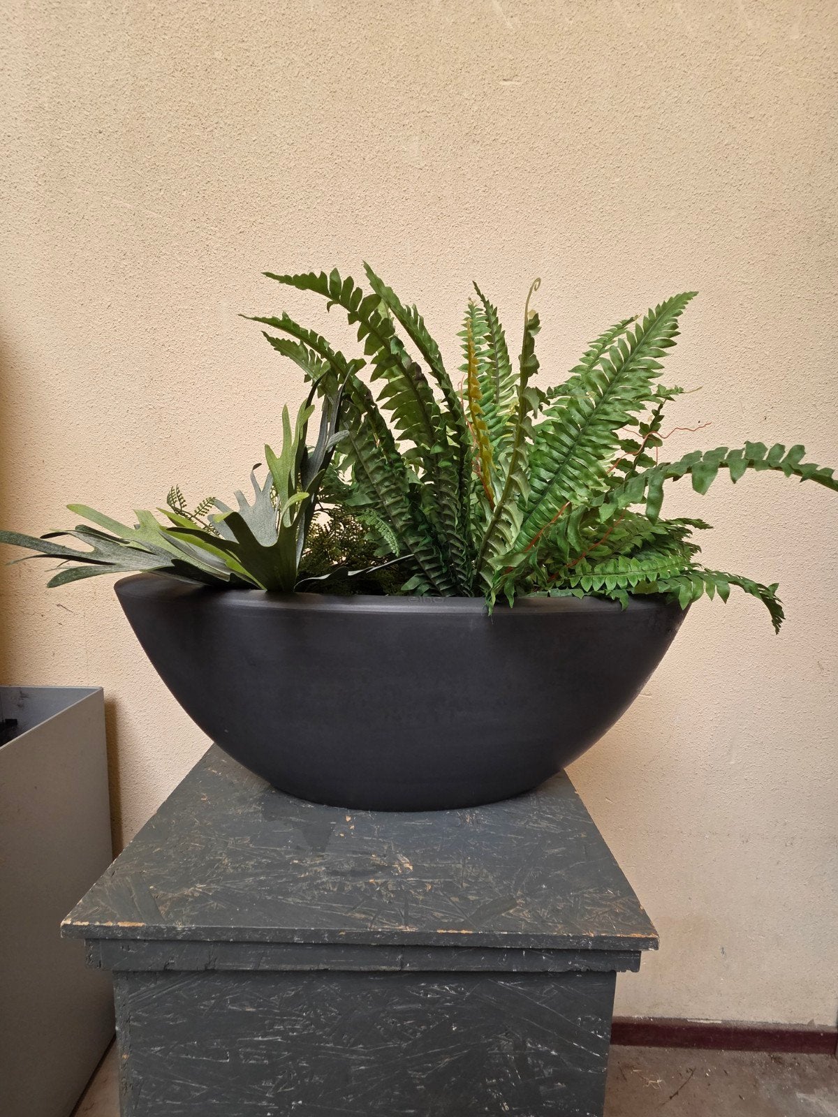 plantenbakken voor binnen en buiten, kunststof, Kunststof, Minder dan 30 cm, Minder dan 60 cm, Ophalen of Verzenden