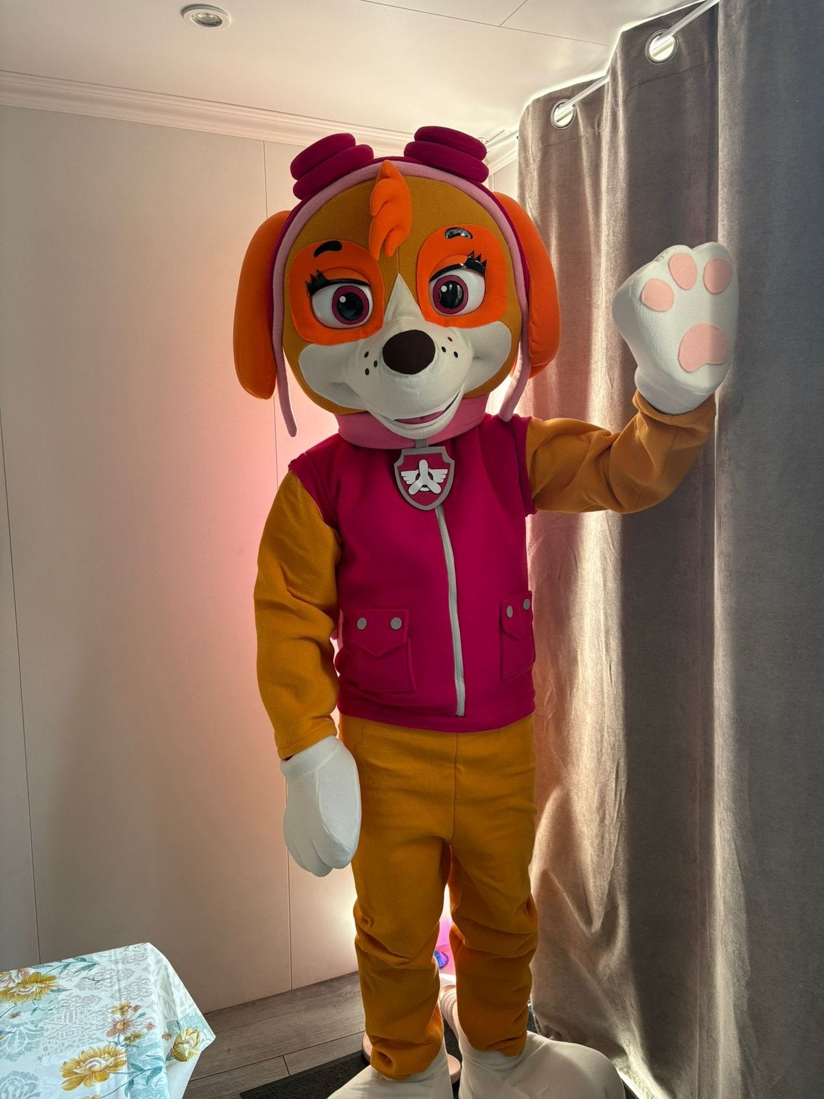 SKYE MASCOTTE VERHUUR, Ophalen of Verzenden, Zo goed als nieuw, Overige