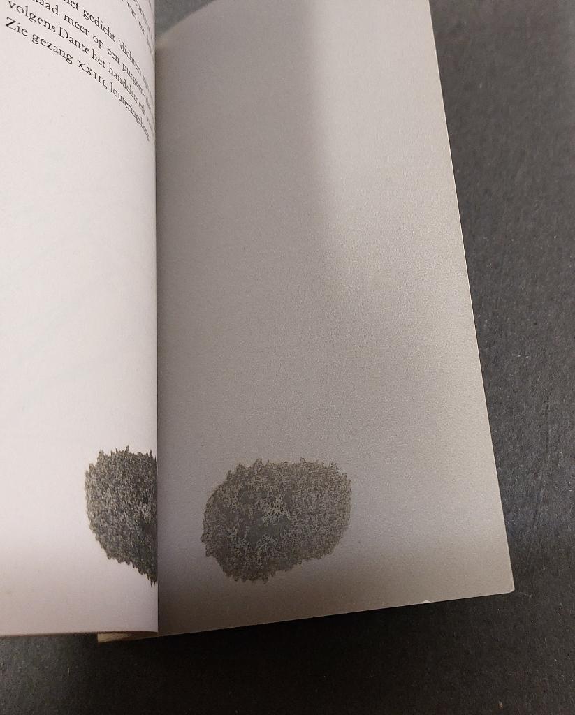 Lucebert BOEK Val voor vliegengod 1959 origineel, Verzenden, Gelezen