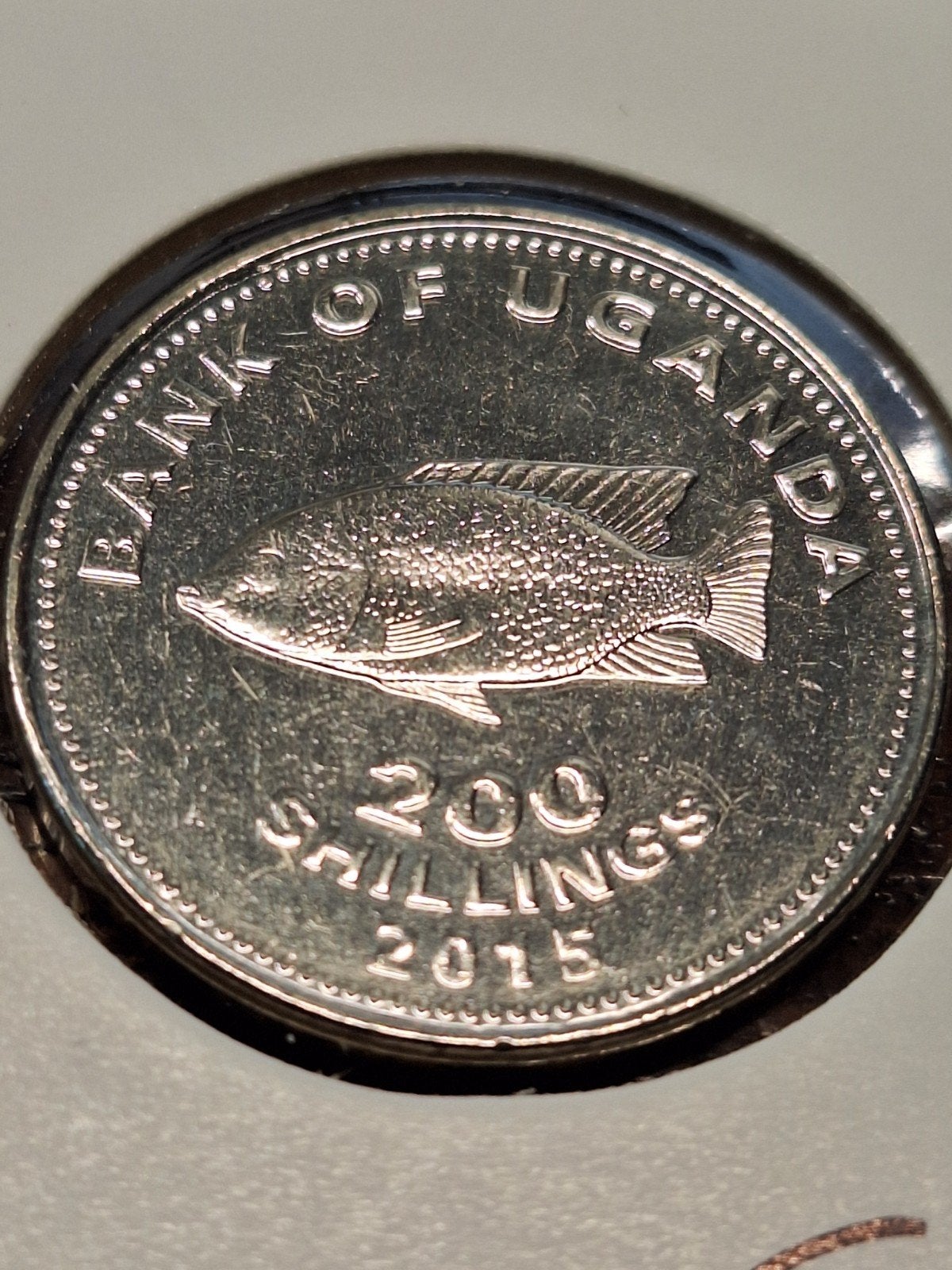 Uganda 200 shilling 2015, Postzegels en Munten, Munten | Afrika, Ophalen of Verzenden, Overige landen