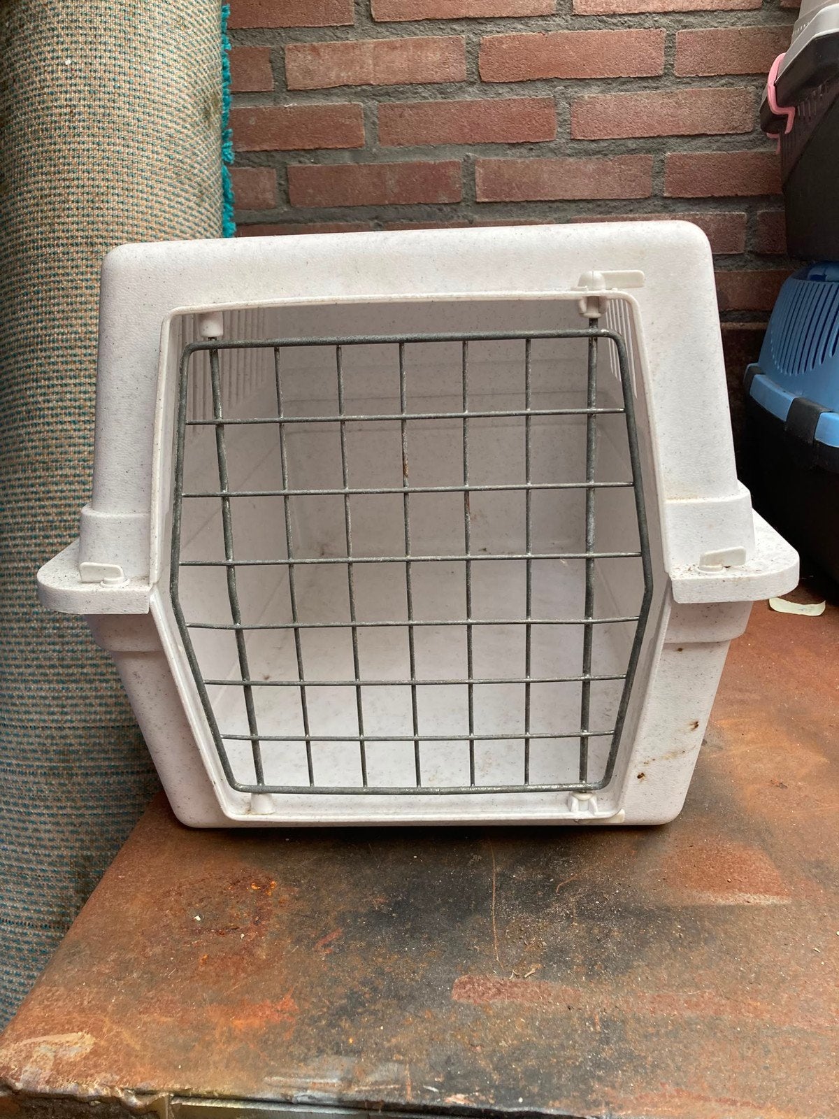 Adult cat transport box, Dieren en Toebehoren, Ophalen