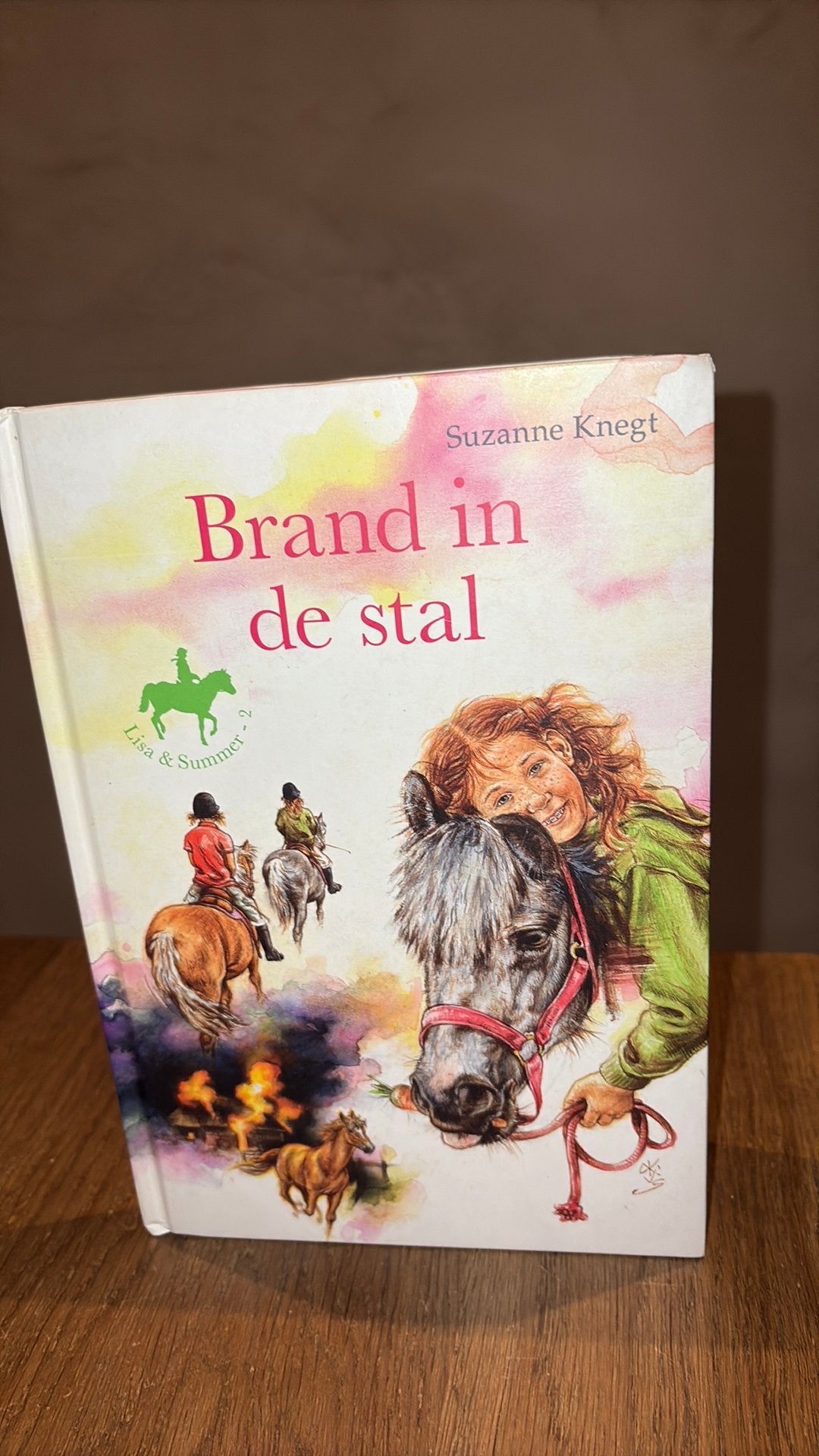 Suzanne Knegt - Brand in de stal Lisa&Summer deel 2, Gelezen, Suzanne Knegt, Fictie algemeen, Ophalen of Verzenden