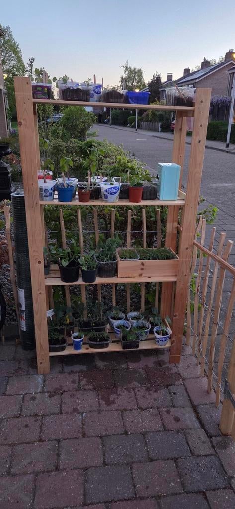 Moestuin plantjes, kruiden en bloemen biologisch, Tuin en Terras, Kassen, Ophalen, Glas, Nieuw, Aluminium