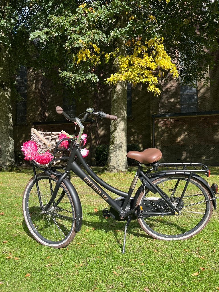 Cortina U4, wielmaat 24 inch, mooie tussenfiets, Terugtraprem, Gebruikt, Versnellingen, Minder dan 47 cm
