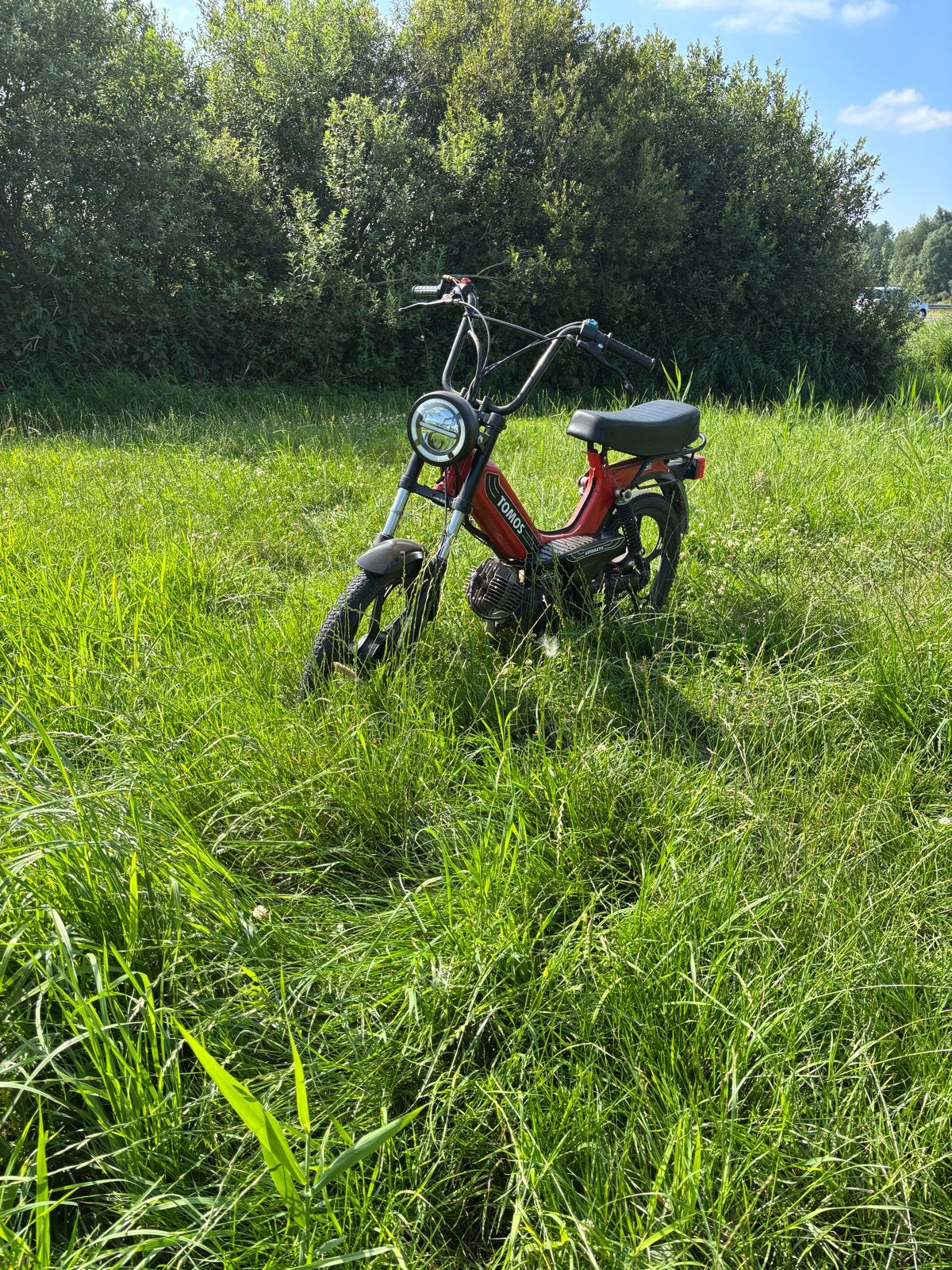 Tomos 50cc snel met abc, Ophalen, Maximaal 45 km/u, Zo goed als nieuw, 2 versnellingen