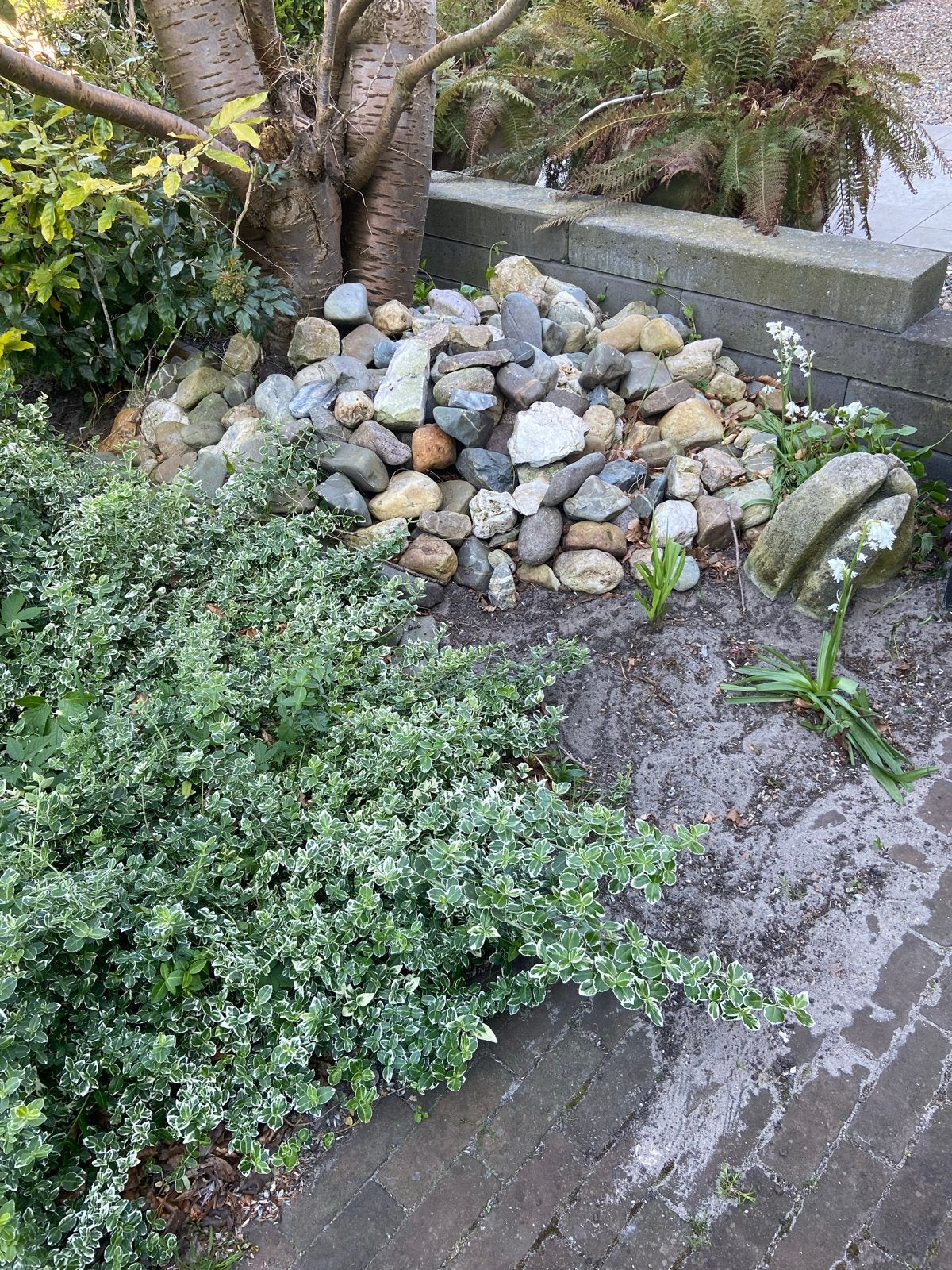 Diverse decoratieve rotsen en keien voor tuin, Ophalen, Overige materialen, Gebruikt, Kei