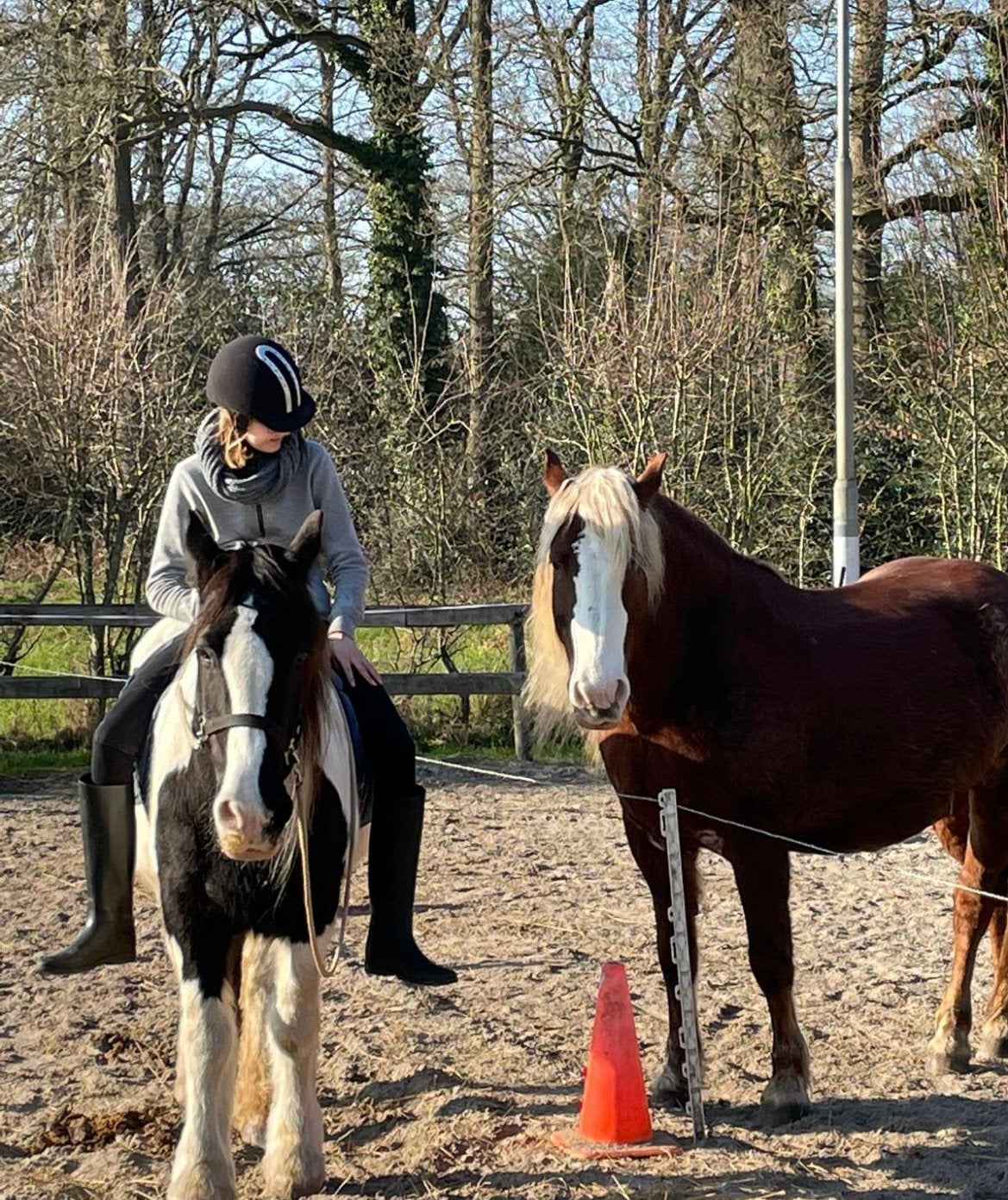 Twee enthousiaste bijrijders aangeboden!, Dieren en Toebehoren, Paarden en Pony's | Verzorgingsproducten, Overige merken, Ophalen of Verzenden