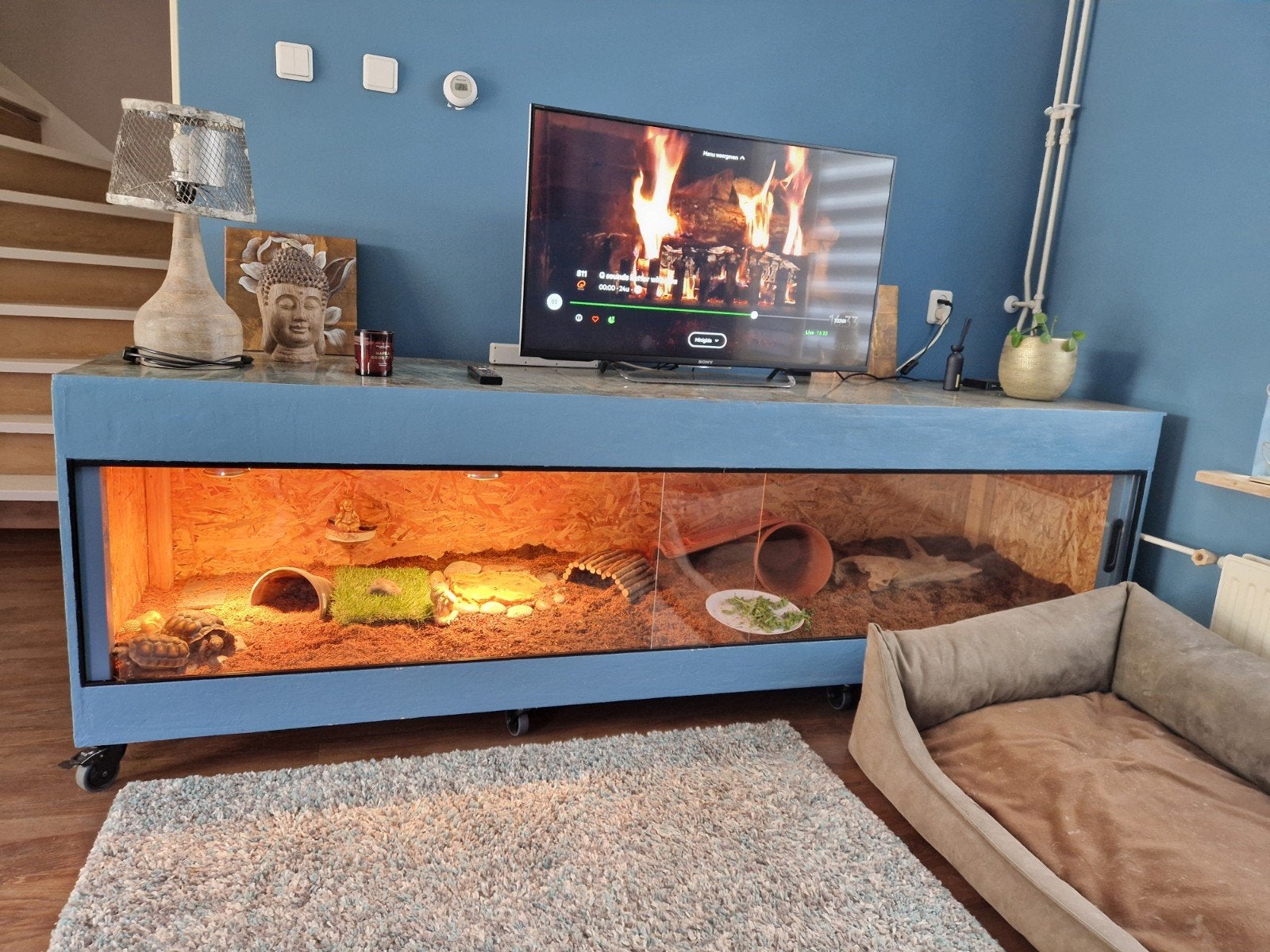 Groot terrarium / tv kast, Ophalen