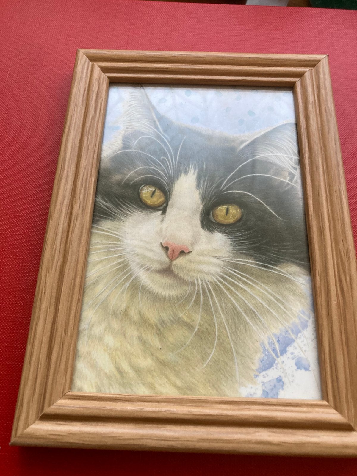 Plaatje poes, Ophalen