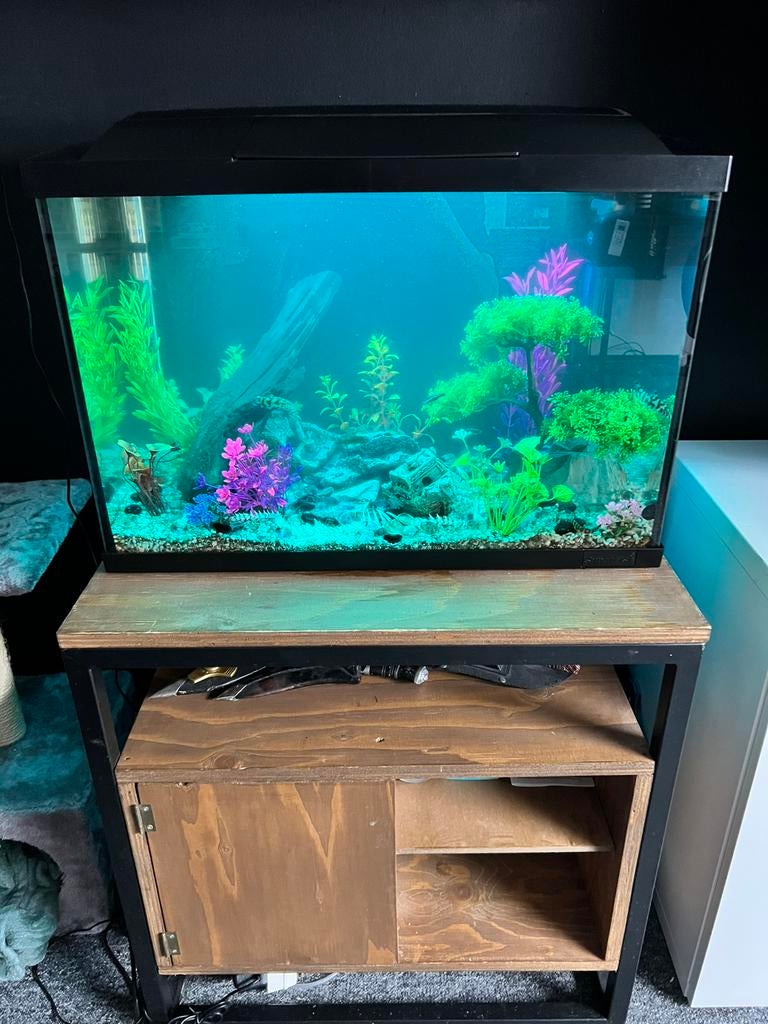 Aquarium Set / SuperFish Start 70 Tropical Kit / 73 L, Ophalen, Overige typen, Inclusief vissen, Zo goed als nieuw