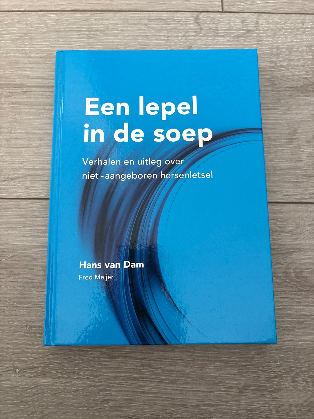 Hans van Dam - Een lepel in de soep, Boeken, Hans van Dam, Sociale wetenschap, Ophalen of Verzenden, Zo goed als nieuw