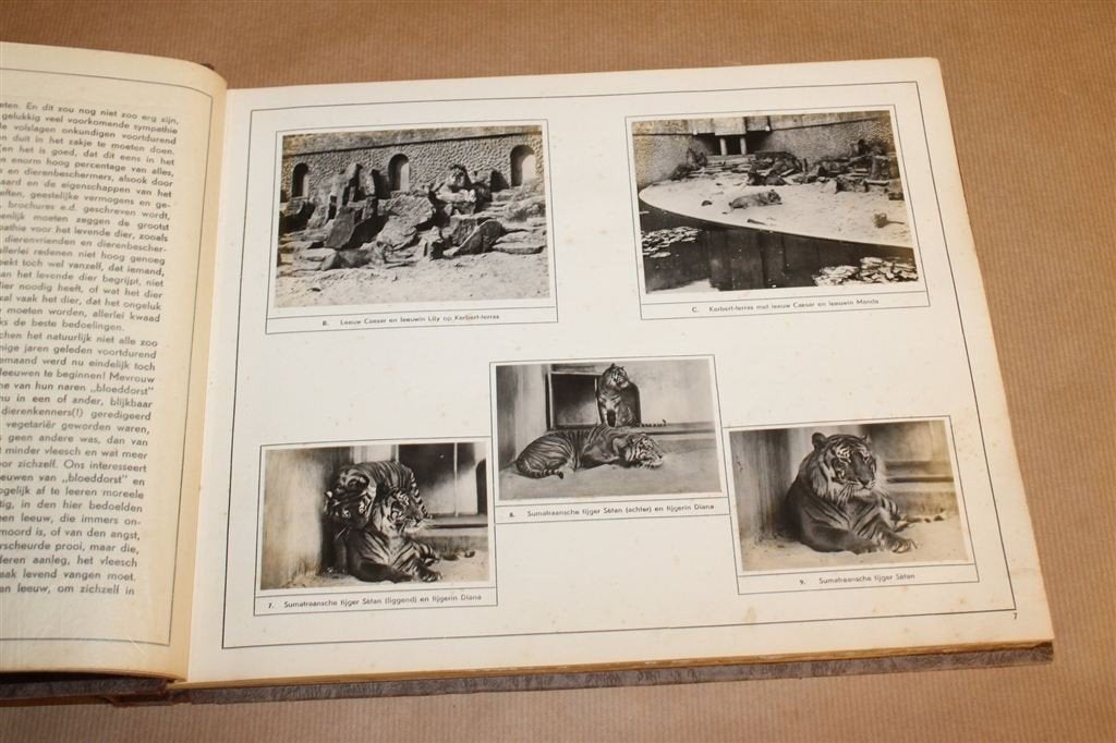 Roofdieren in Artis — Compleet Fotoalbum — Kahrel [1932], Ophalen of Verzenden, Gelezen