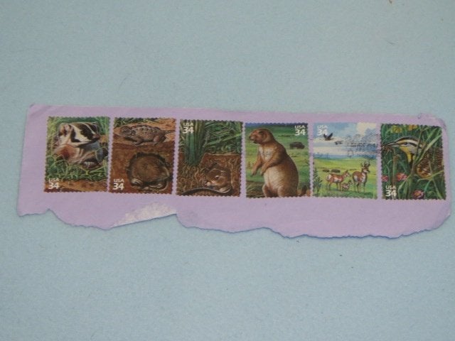 6 oude postzegels met dieren USA 34 - 3 ongestempelde, Ophalen of Verzenden, Postfris, Dier of Natuur