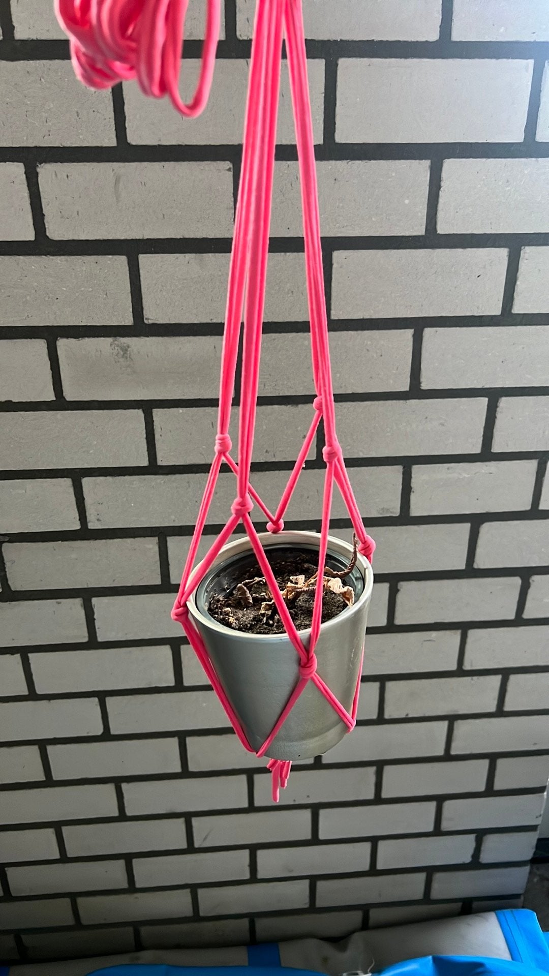 Bloempot in roze hanger, Ophalen, Gebruikt, Rond, Binnen